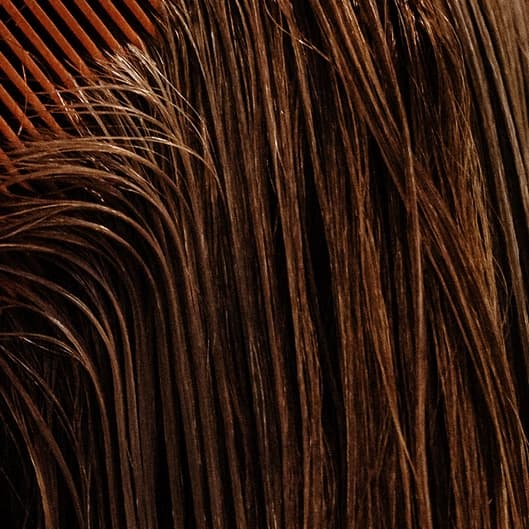 Fall Into Color at VICI Beauty and Spa in Boardman, OH